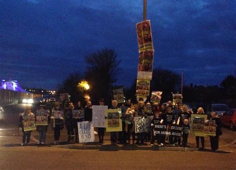 PROTESTERS CONTINUE PICKET OF COURTNEY’S CIRCUS – Derry Daily