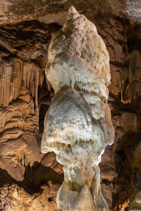 Postojnska Jama Cave - Slovenia - Blog about interesting places