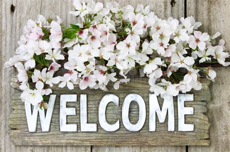 Signe Bienvenu Avec Le Bouquet De Ressort Des Fleurs Blanches Photo stock - Image du fond, cadre ...