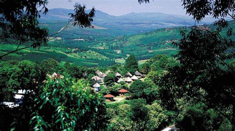 Travel Magoebaskloof: Best of Magoebaskloof, Visit Tzaneen | Expedia Tourism