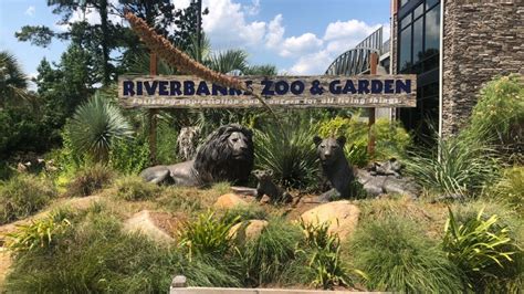 Riverbanks Zoo and Garden Columbia, South Carolina | Baby gorilla's ...