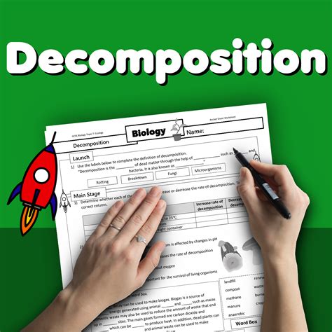 Stages Of Human Decomposition Worksheet