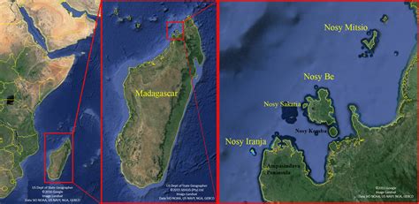 Field Site — The Omura's Whale Project