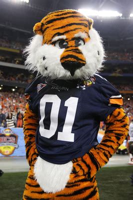 The Auburn Tigers 2010: Thank You For a Truly Special Year | Bleacher ...