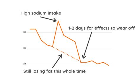 Real Weight Loss Progress Chart: What Weight Loss Actually Looks Like ...