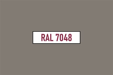 RAL 7048 - Perłowa szara mysz (Pearl mouse grey)