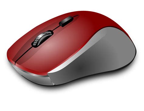 Computer Mouse