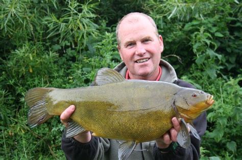 Tench – Kenny's Angling Guiding Service | Fishing photography, Fishing pictures, Fishing uk