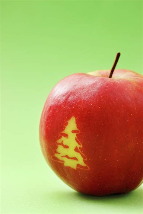 Red Apple With A Christmas Tree Photograph by Petr Gross - Pixels