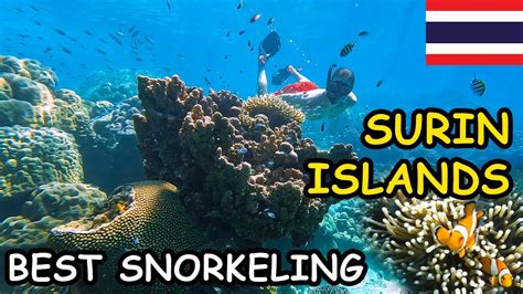 🇹🇭 Surin Islands THAILAND'S BEST SNORKELING - YouTube