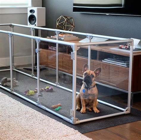 This Frenchie loves his new playpen. A medium Lucidium dog pen set up in the longer ...