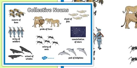 Collective Nouns for Animals Poster | Twinkl (teacher made)