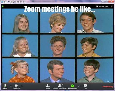 Zoom meeting background meme - wqpforest