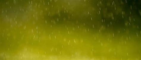 Rain Green Screen Stock Photos, Images and Backgrounds for Free Download