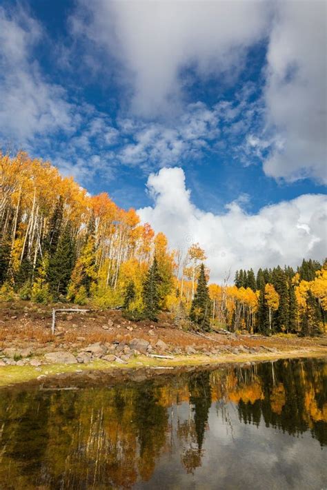 Fall Colors at Mesa Lakes on Grand Mesa, Colorado Stock Photo - Image of blue, rocky: 231963708