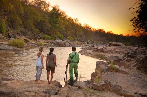 Malawi Safari Lodges - Mkulumadzi - Malawi Safari