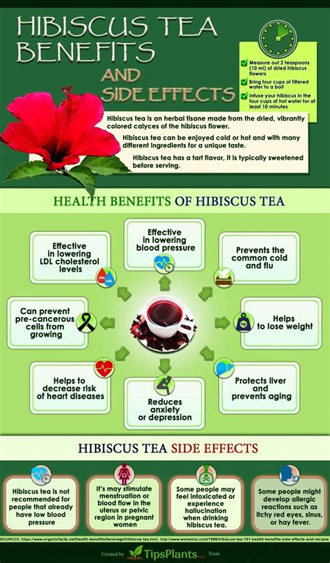 The hibiscus can be turned into a natural herbal infusion that is more famous among the healthy ...