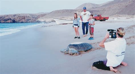 Fees prescribed for entry into turtle reserve - Oman Observer