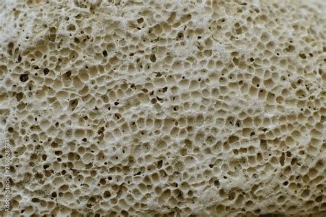 pumice stone background texture Stock Photo | Adobe Stock