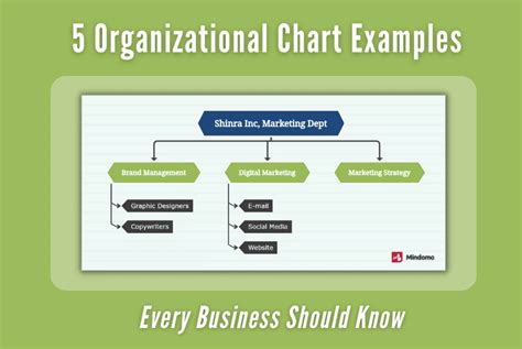 Organizational Chart Types, Meaning, And How It Works, 54% OFF