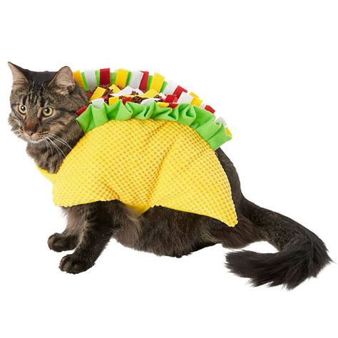 Cute Alert: 10 Cat Halloween Costumes for Your Favorite Feline