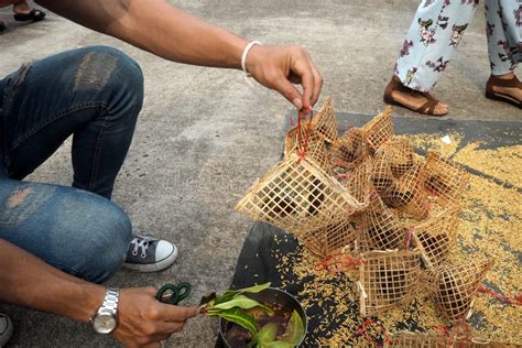 Bird Release from Wood Cage in Thai Temple Stock Photo - Image of thai ...