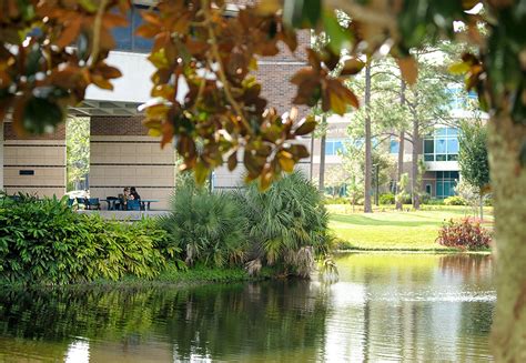 UNF: UNF ranked as a Best National University by U.S. News & World Report