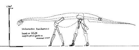 Vulcanodon Pictures & Facts - The Dinosaur Database