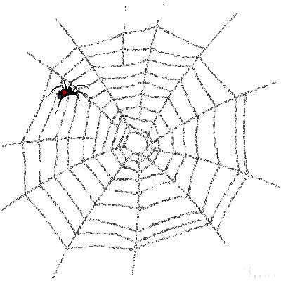 spider web bp, halloween , spiderweb , spider , web , spider's - Free ...