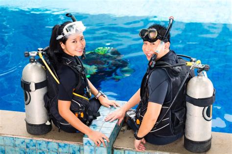 5 Of The Coolest Jobs For Shark Lovers - We Love Sharks!