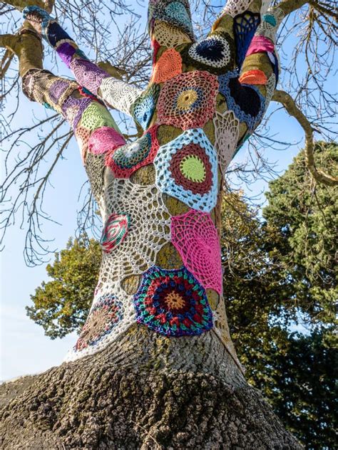 Yarn bombed tree stock photo. Image of bombing, wool - 56379068 | Yarn bombing, Yarn bombing ...