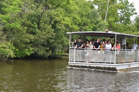 Jean Lafitte Swamp Tour | BigEasy.com