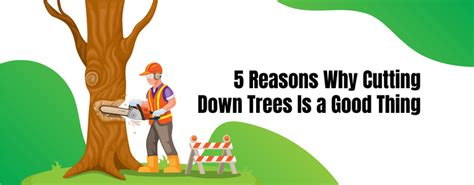 Why cutting trees down is a good thing.