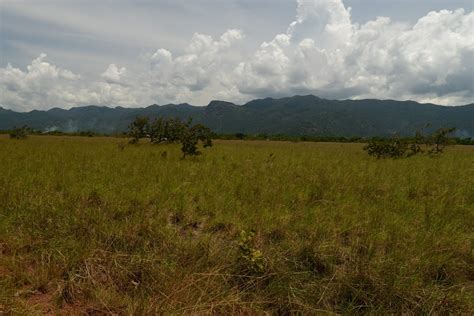 Kanuku Mountains – National Trust