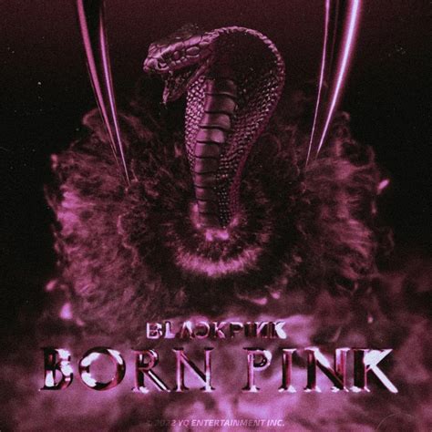 BORN PİNK Album COVER | Albüm kapakları, Poster tasarımları, Poster