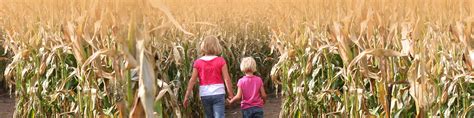 The World's Largest Corn Maze at Richardson Adventure Farm in Spring ...