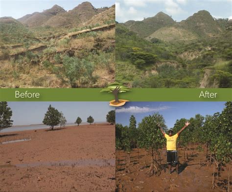 Eden Reforestation Projects – CLEAN EARTH FUTURE