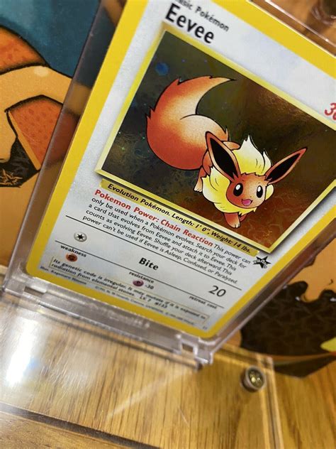 Eevee Black Star Promo 11 NM Pokemon Card | eBay