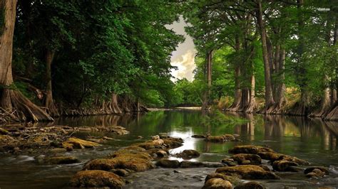 Forest River Wallpapers - Top Free Forest River Backgrounds - WallpaperAccess