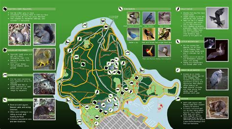 Newly Updated Wildlife Map - Stanley Park Ecology Society (SPES)