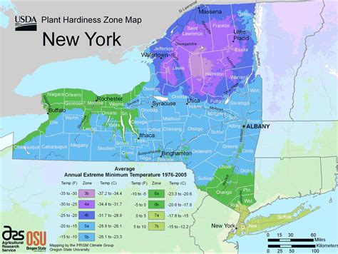 New York Plant Hardiness Zone Map - Mapsof.Net