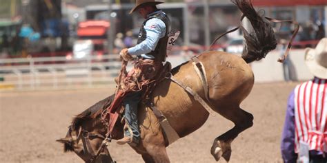 Cheyenne Frontier Days Rodeo Info | Visit Cheyenne