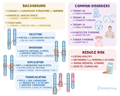 Chromosomal Aberrations: What Are They, Causes, and More | Osmosis