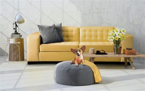 Pet Friendly Fabrics - The ultimate fabric guide - Furl Blog