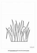 Simple Grass Coloring Pages sketch template