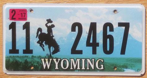 2017 Wyoming vg | Automobile License Plate Store: Collectible License Plates for Less