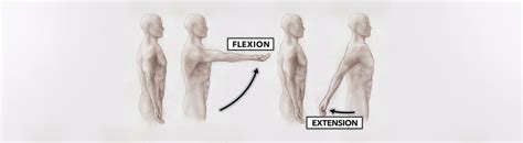 CrossFit | Movement About Joints, Part 1: The Shoulder