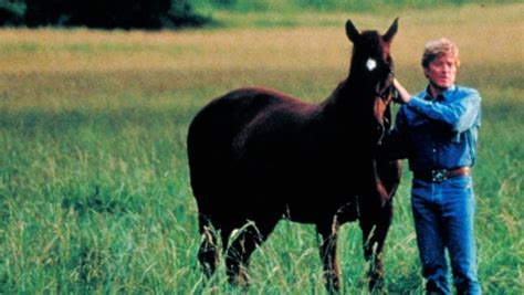 The Horse Whisperer (1998) - Robert Redford | Synopsis, Characteristics, Moods, Themes and ...