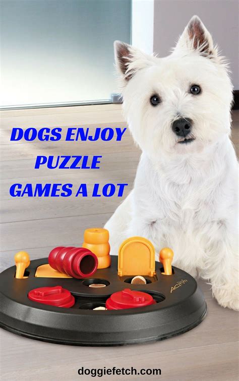 5 Interactive Toys For Dogs [2020] | Interactive toys, Dogs, Dog toys