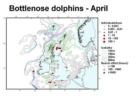 Sea Watch Foundation » Bottlenose Dolphin – Distribution Maps